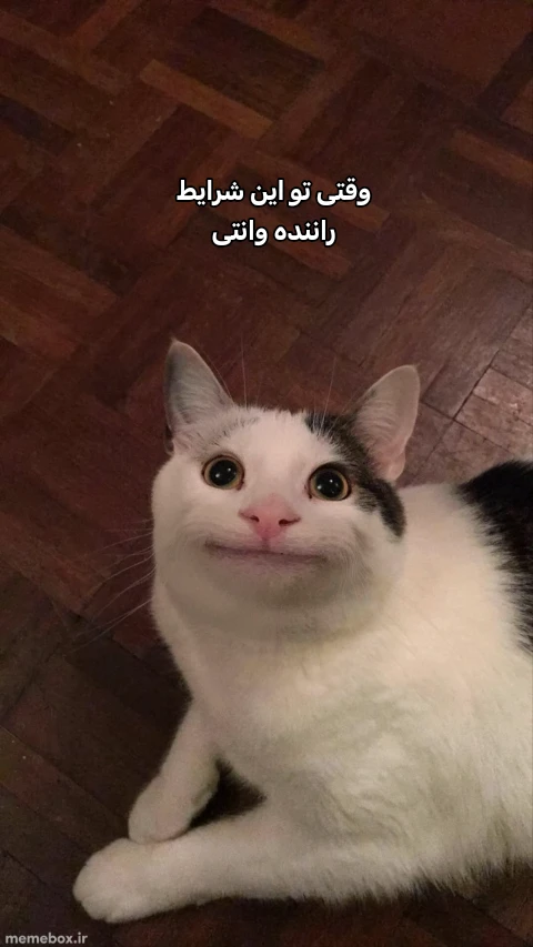 میم 