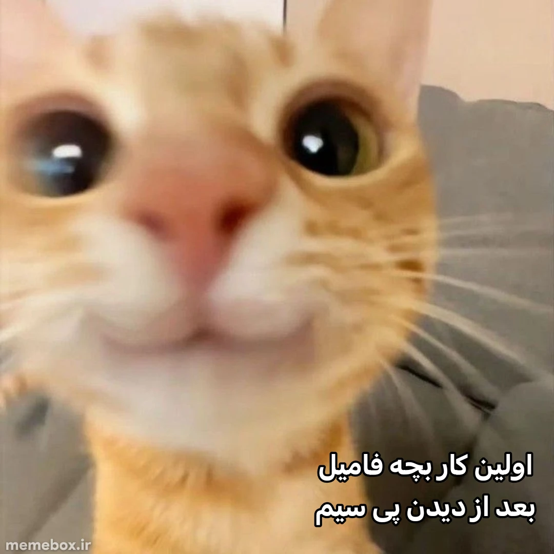 میم 