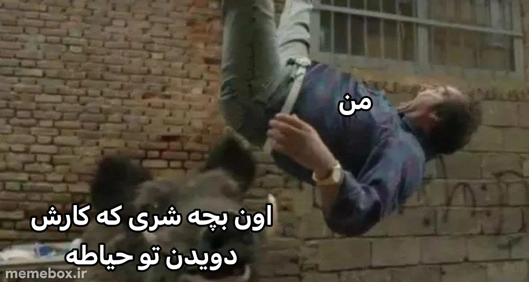 میم 