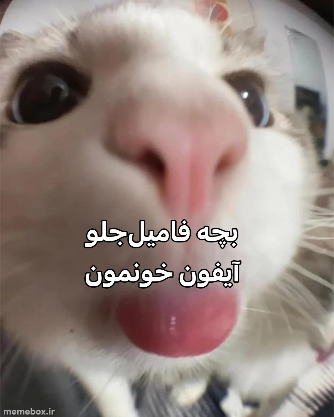 میم 