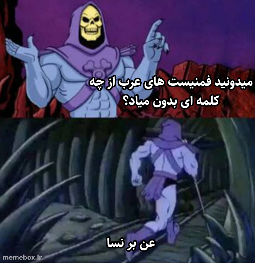 میم نسا به عربی میشه زن(اونجا اشتباه شده میخواستم بنویسم بدشون نوشتم بدون)