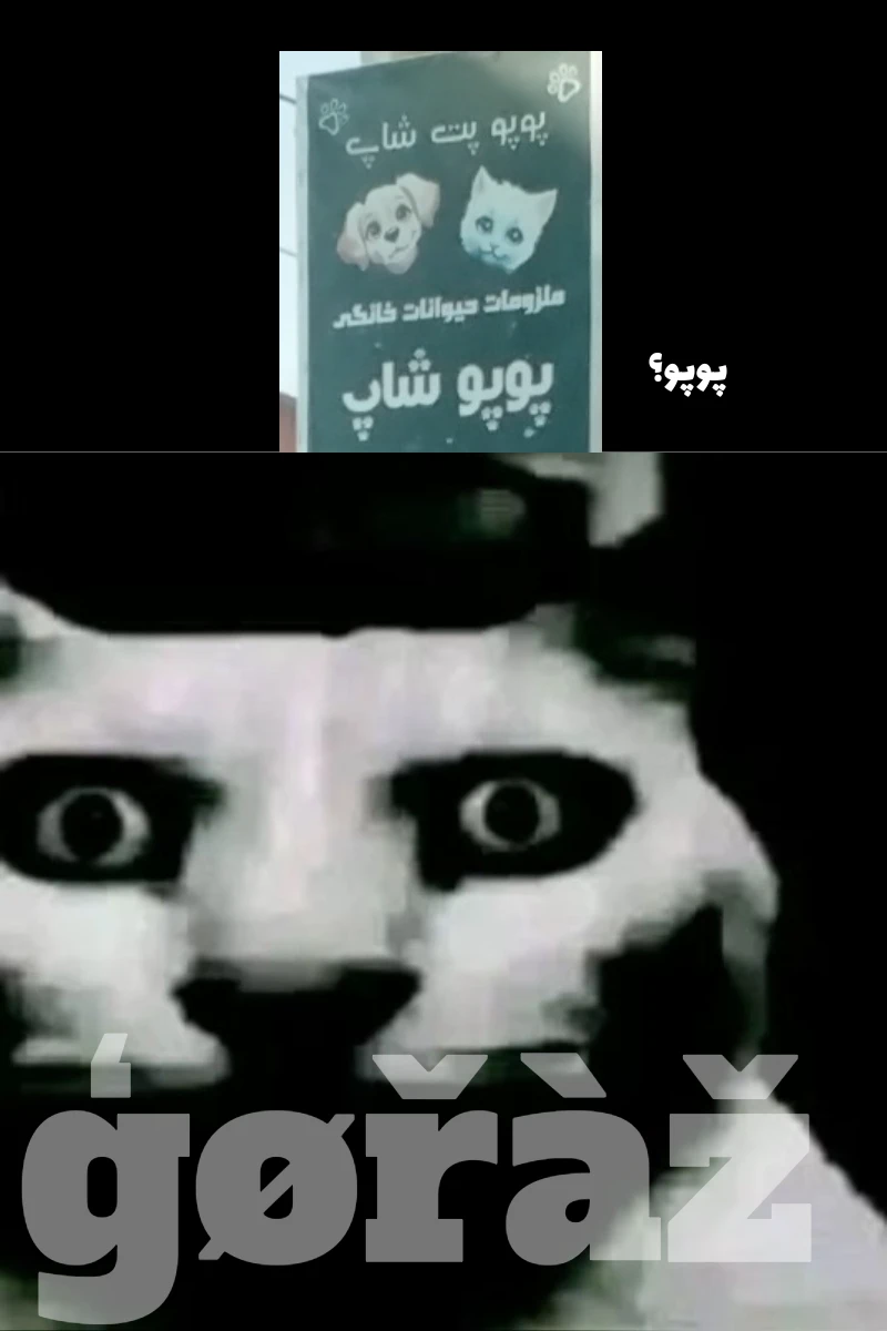 میم راهنمایی : جای دو تا و ی بزارید😀