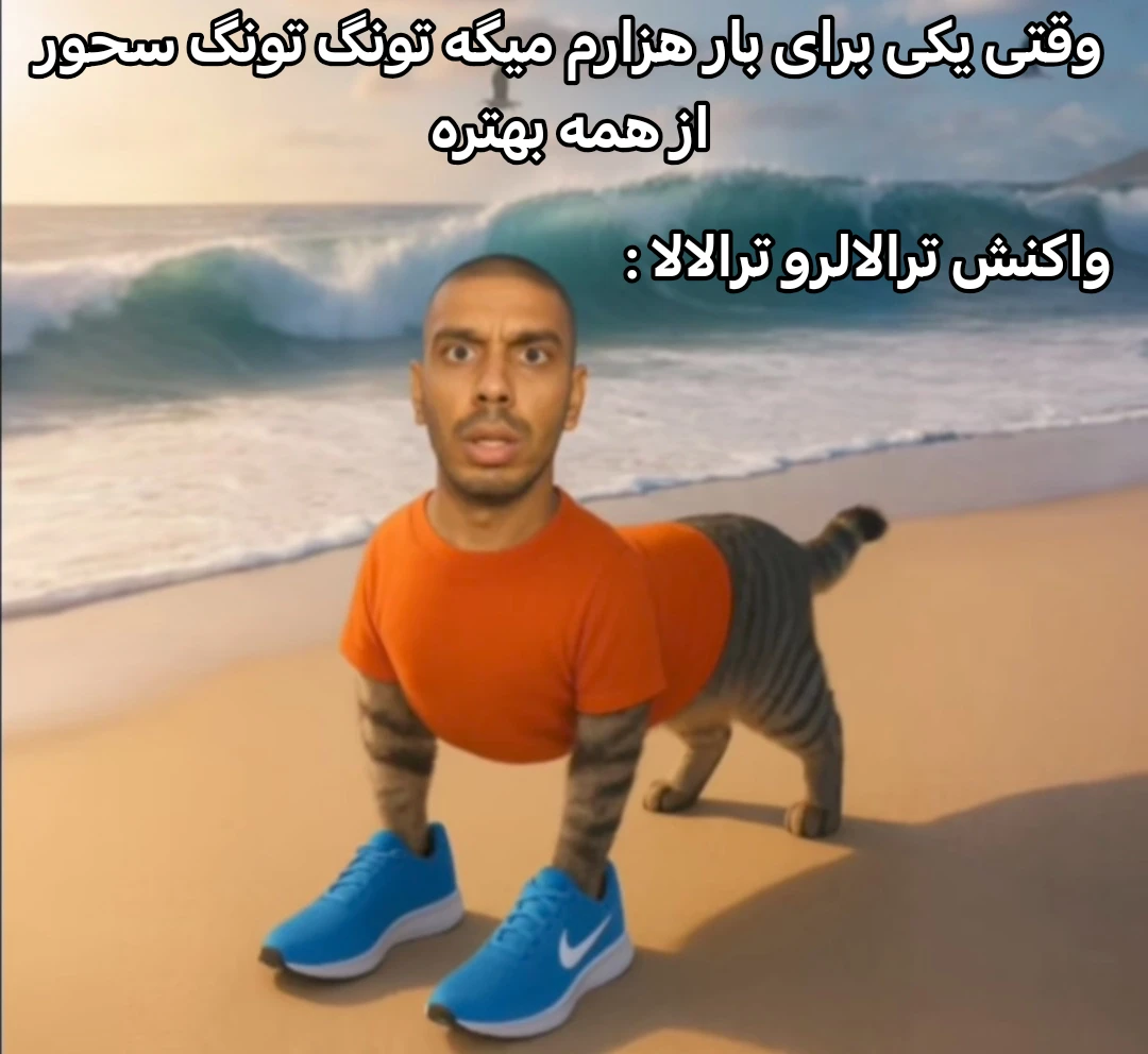 میم ترالالرو ترالالا : ما داریم زحمت میکشیم