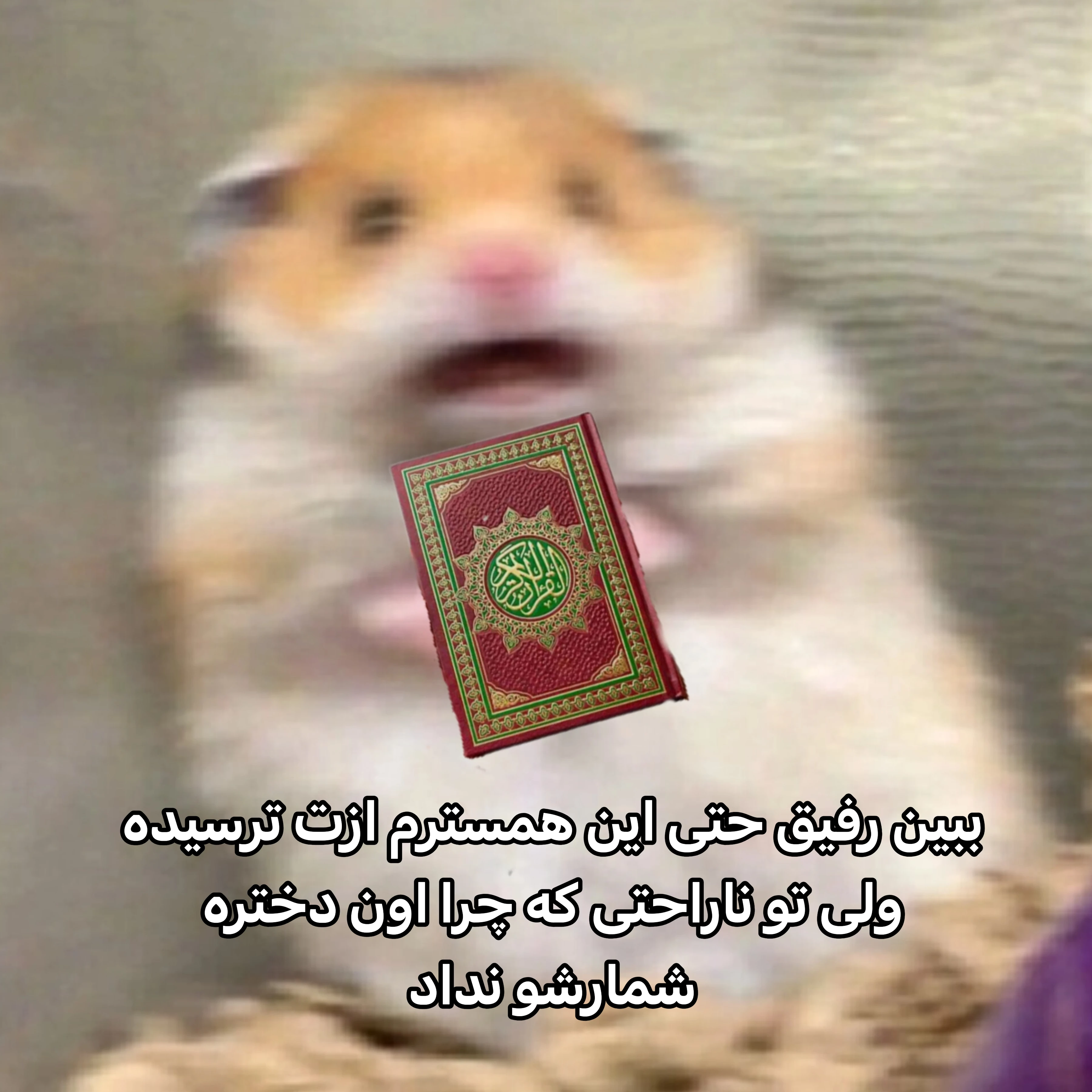 میم 