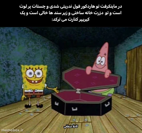 میم فقط ماینکرفت باز ها می فهمند