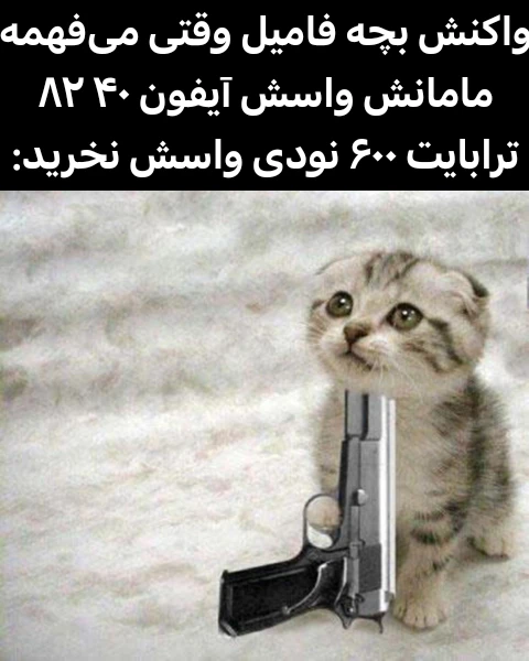 میم فرزند ادب باش،نه فرزند پدر