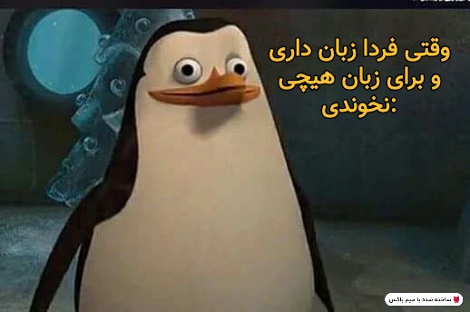 میم اوه خیلی بده🗿