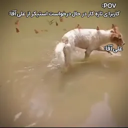 post