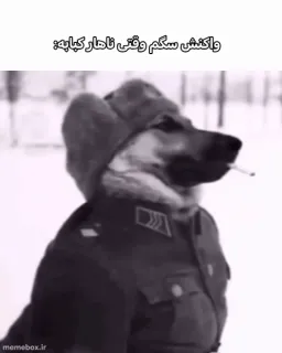 post