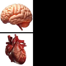 brain and heart two-level