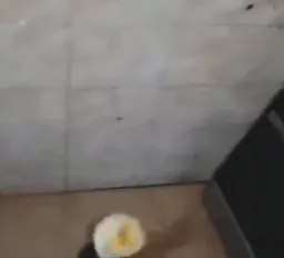 بلند کردن نیمرو با پا