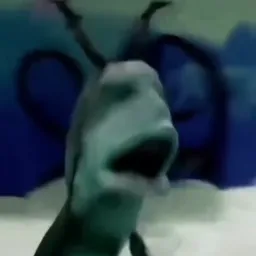 Plankton moaning 2