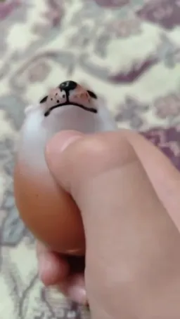 نگاه خاص عروسک سگ