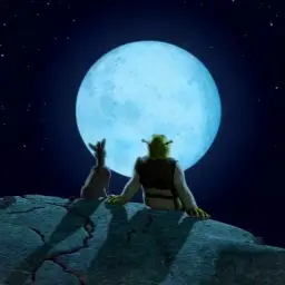 Shrek and donkey watching the moon