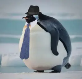 Penguin