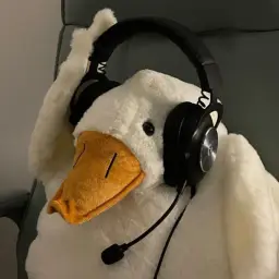 Duck gamer