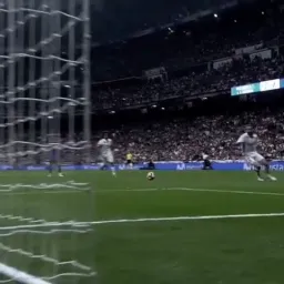 واکنش صادقانه فوتبال