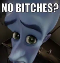 No bitches megamind