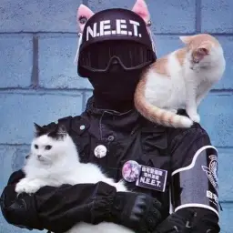 Agent with cats