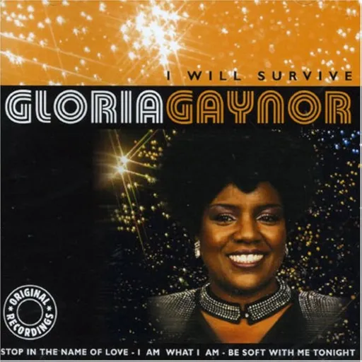 I Will Survive _ Gloria Gaynor
