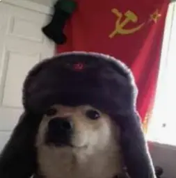 communist dog