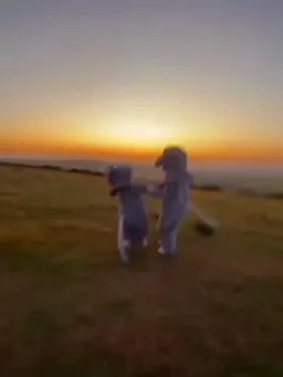 ناراحتی موش ۳