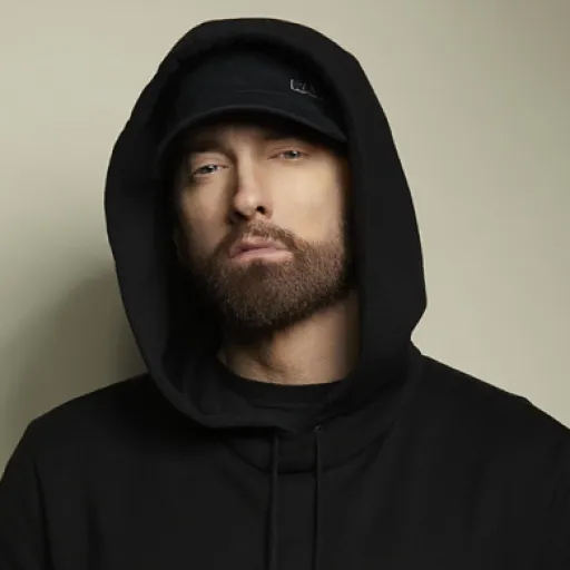 Berzerk_eminem