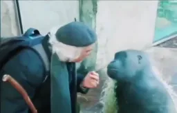 مرد در حال بحث با میمون