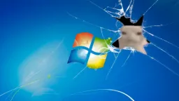 cat eating chips behind the windows picture