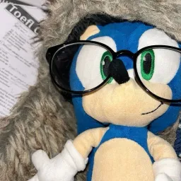 Nerd sonic