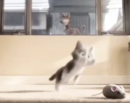 The bad life of street cat