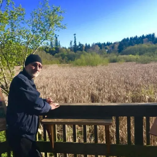 پرنده ی مهاجر - سیاوش قمیشی