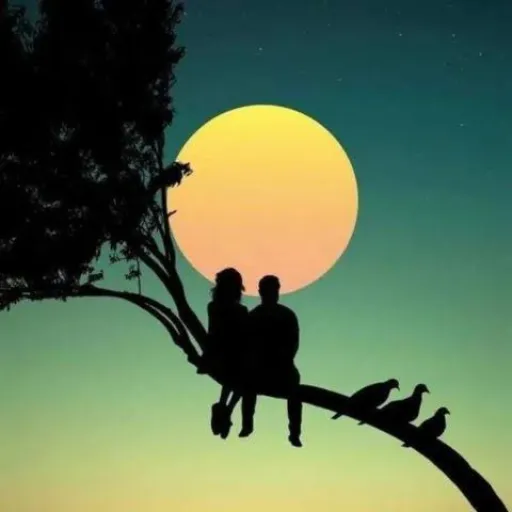 کی میشه یار برات