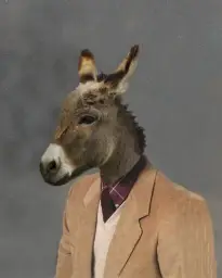 mr.donkey