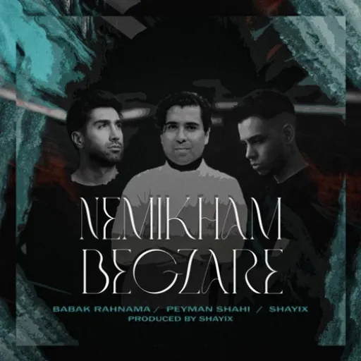 Babak Rahnama ~ I don't want to pass