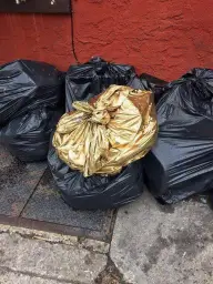 golden trash