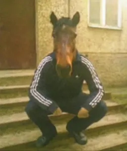 اسب در حال نشستن با یک استایل عجیب