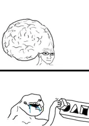 big brain vs small brain wojak