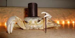 Crab magician