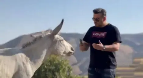 talking with donkey