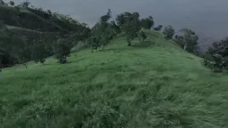 طبیعت