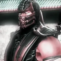 Sub-zero and Scorpion's honest reaction