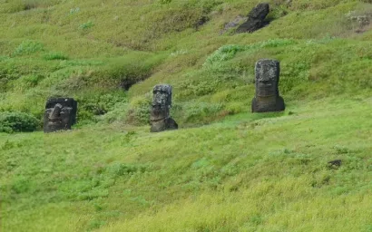 موای ها در کوهستان