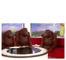 3 monkeys talking to each other