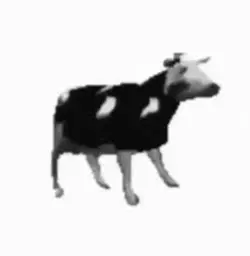 polish cow