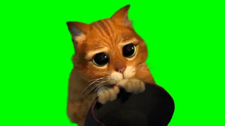 Puss in boots cute look green screen