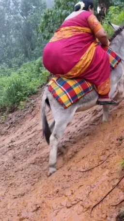 زن چاق درحال خرسواری