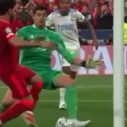 courtios save