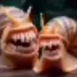 خنده دو حلزون