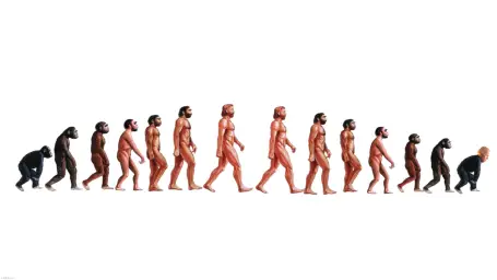 Human evolution & devolution to Joe Biden